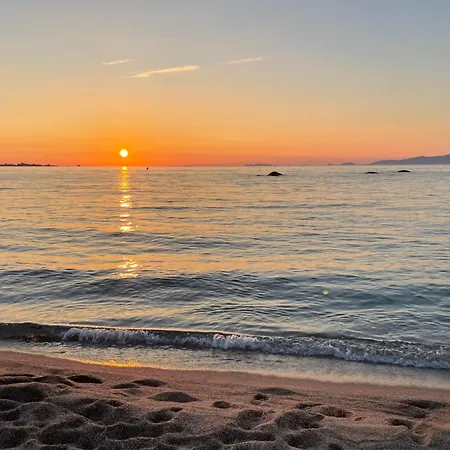 Grand T2 Cours Napoleon B Appartement *