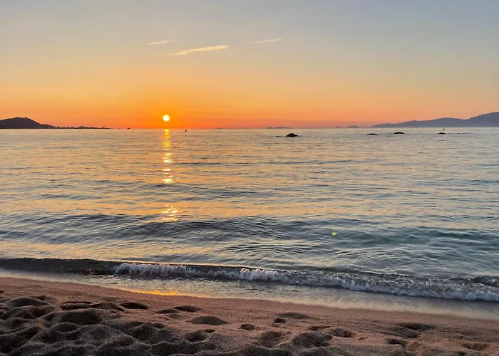 Grand T2 Cours Napoleon B Appartement *