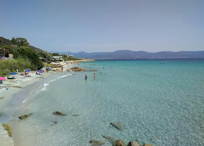 Grand T2 Cours Napoleon B Appartement