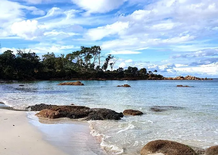 Apartment Grand T2 Cours Napoleon B Ajaccio (Corsica)